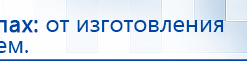 СКЭНАР-1-НТ (исполнение 01)  купить в Прокопьевске, Аппараты Скэнар купить в Прокопьевске, Дэнас официальный сайт denasolm.ru