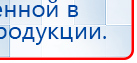 Наколенник электрод Скэнар купить в Прокопьевске, Выносные электроды купить в Прокопьевске, Дэнас официальный сайт denasolm.ru